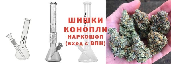 ПСИЛОЦИБИНОВЫЕ ГРИБЫ Балабаново