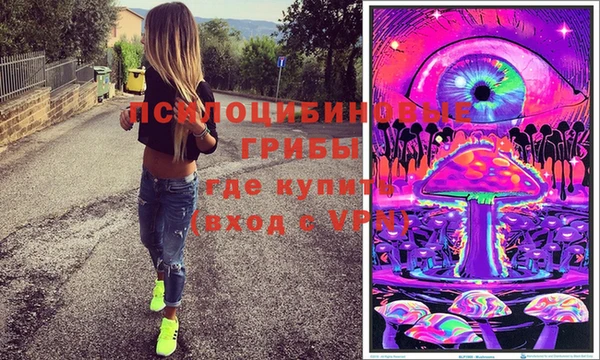 ПСИЛОЦИБИНОВЫЕ ГРИБЫ Балабаново