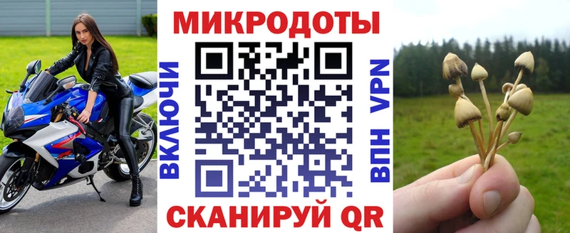 где купить   Рудня  дарк нет наркотические препараты  Псилоцибиновые грибы прущие грибы 